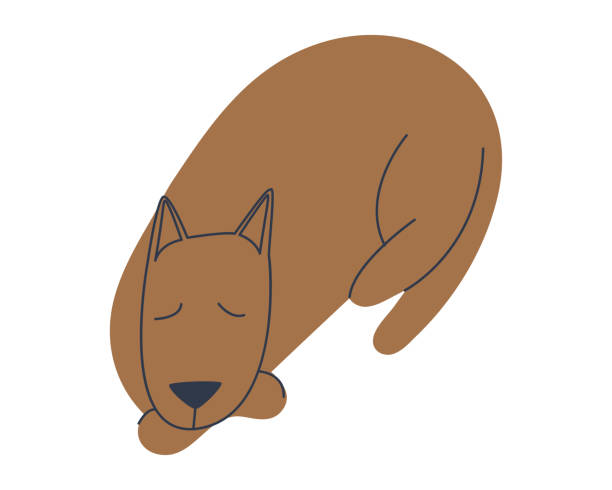 The dog is fast asleep. The pet is asleep. Isolate on a white background. Flat vector illustration. The dog is fast asleep. The pet is asleep. Isolate on a white background. Flat vector illustration. Eps10 napping illustrations stock illustrations