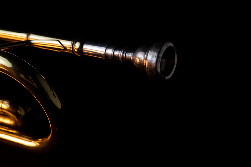 Shiny alto sax in its case.