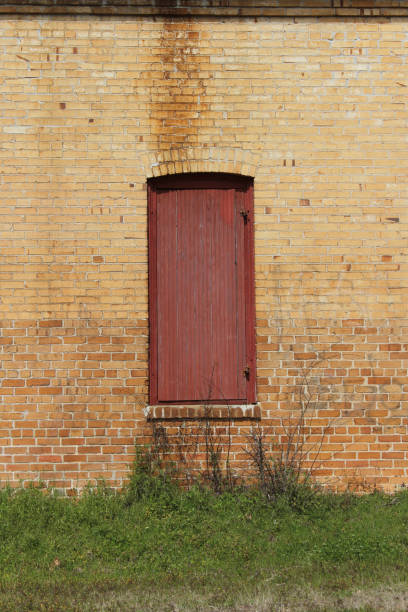 A rustic wooden door with slats stands against a stark white brick wall, bathed in warm late afternoon light.