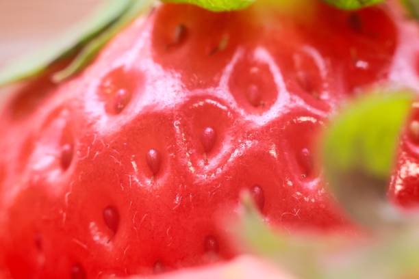 istock A delicious bright red strawberry in a transparent bowl 1372471976