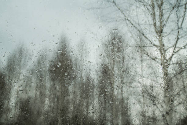 Drops on the glass and a blurry forest in the background, rainy weather