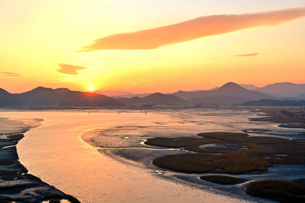Suncheon Bay Sunset VD702