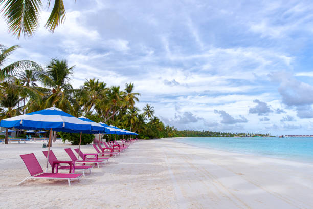 istock Tropical paradise beach with lounge chairs and umbrellas 1372474682