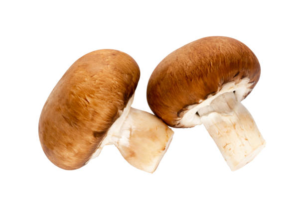 istock Fresh champignon mushrooms isolated on white. 1372477161