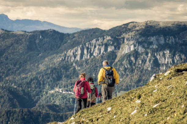 istock Friends hiking with poles on mountain 1372478564