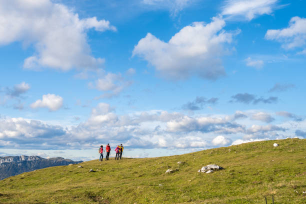 istock Friends standing with hiking poles on grassy hill 1372478568