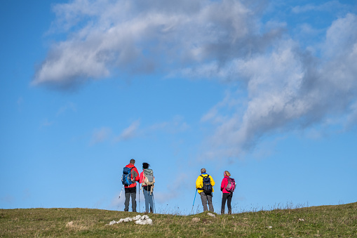 Rear view of friends with hiking poles and rucksacks standing on grassy hill.