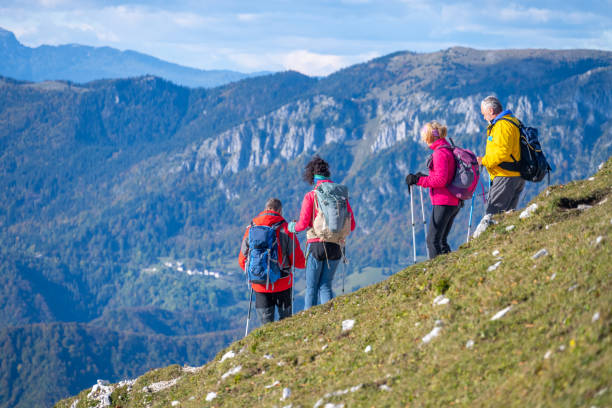 istock Friends hiking with poles on mountain 1372478585