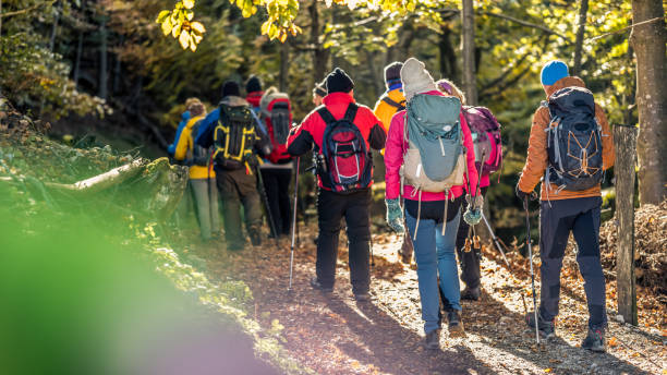 istock Friends hiking on dirt track in forest 1372478603