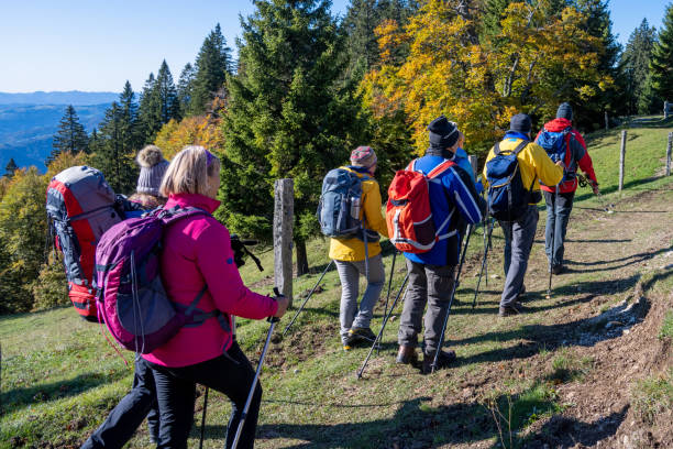istock Group of hikers walking on dirt track 1372478604