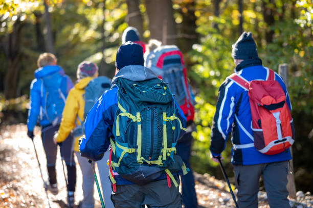 istock Friends hiking on dirt track in forest 1372478620