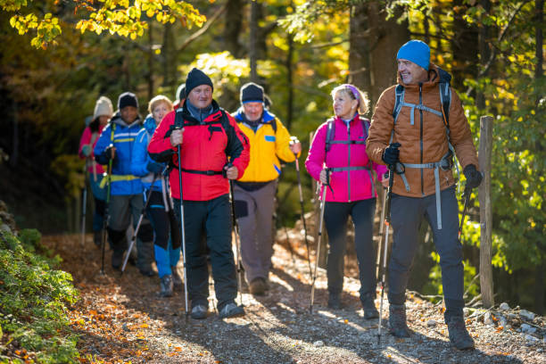 istock Friends with hiking poles walking in forest 1372478625