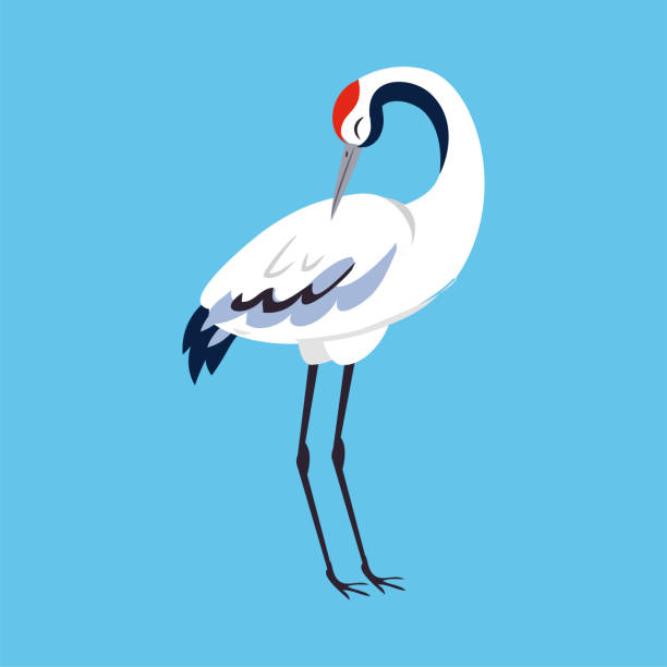 istock Red Crowned Crane as Long-legged and Long-necked Bird Standing on Blue Background Vector Illustration 1372479537
