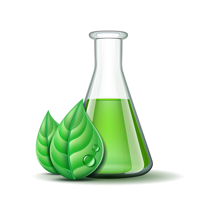 Green nature leaf and flask. Template for environment and laboratory industrial Eco design. Vector illustration isolated on white background