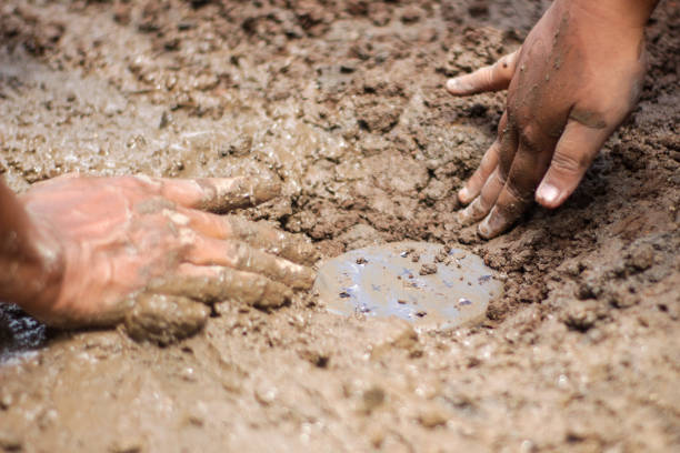 istock The making of Biopore Infiltration 1372481865