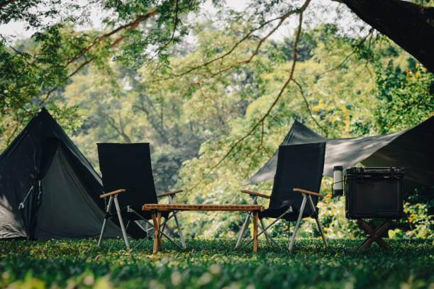 istock Camping in nature tent and camping accessory under the big tree. Beautiful nature background for travel and tourism. 1372484886