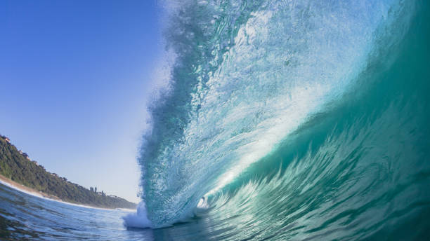 istock Ocean Wave Swimming Hollow Water 1372487033