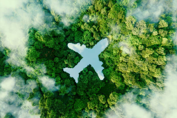 a lake in the shape of an airplane in the middle of untouched nature - a concept illustrating the ecology of air transport, travel and ecotourism. 3d rendering. - travel stockfoto's en -beelden