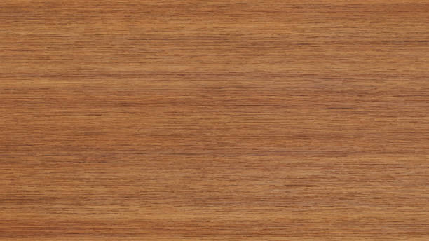 вектор текстуры дерева. коричневый деревянный фон - дерево stock illustrations