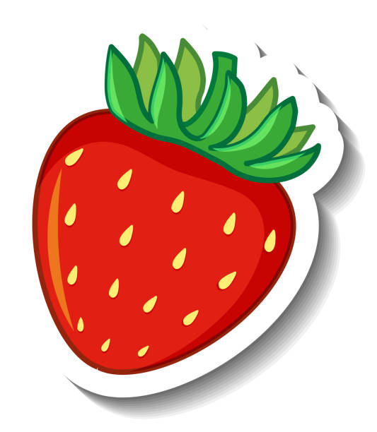 Strawberry isolated on white background vector art illustration