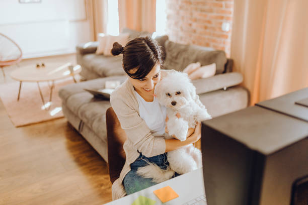istock Young women working from their home office 1372492497