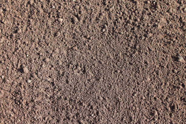 istock The soil in the garden. Close-up. Background. Texture. 1372493155