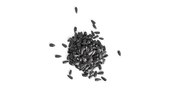 istock Sunflower seeds isolated on a white background 1372498411