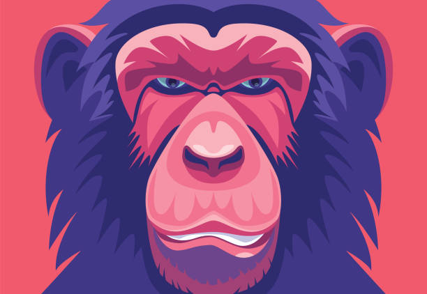 porträt von schimpansen-gattung - violence hat toughness blue stock-grafiken, -clipart, -cartoons und -symbole