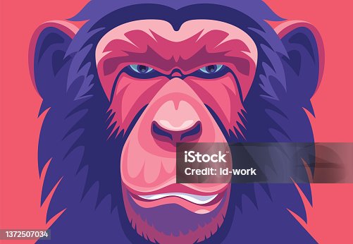 istock chimpanzee portrait 1372507034