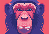 istock chimpanzee portrait 1372507034