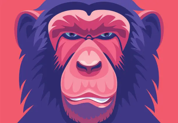 Vector illustration of chimpanzee portrait