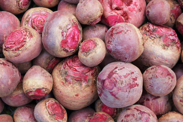 fresh ripe beets. top view. close-up. background. texture. - sugar beet beet field vegetable imagens e fotografias de stock