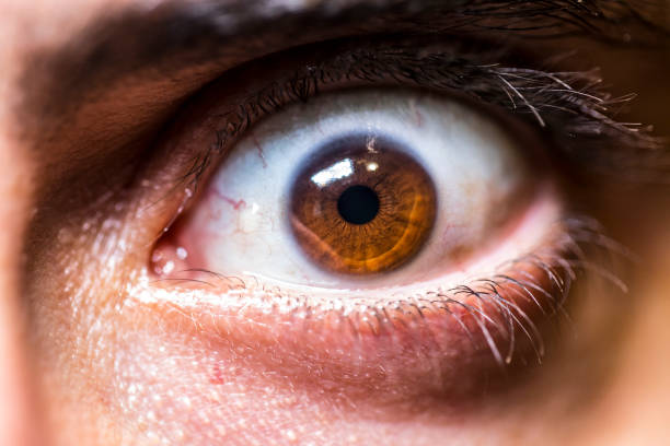 istock Extreme Close-up of a Young Man's Brown Eye 1372509341
