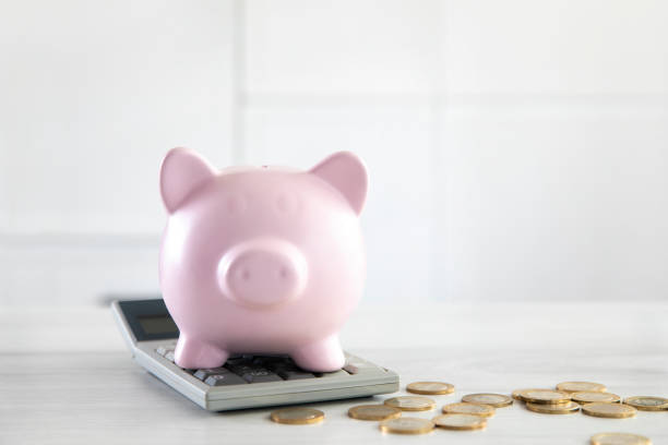 istock Piggy Bank with Coins and Calculator 1372510729
