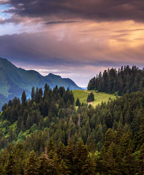 istock Leysin,Switzerland pictures 1372514756