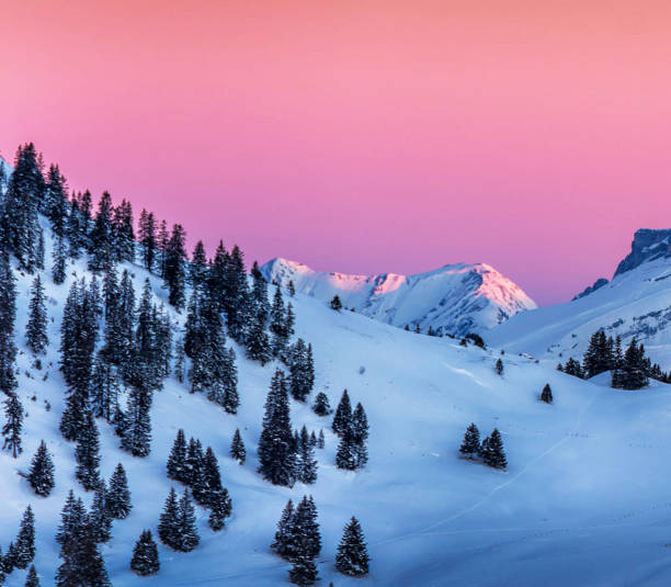 istock Leysin,Switzerland pictures 1372515432