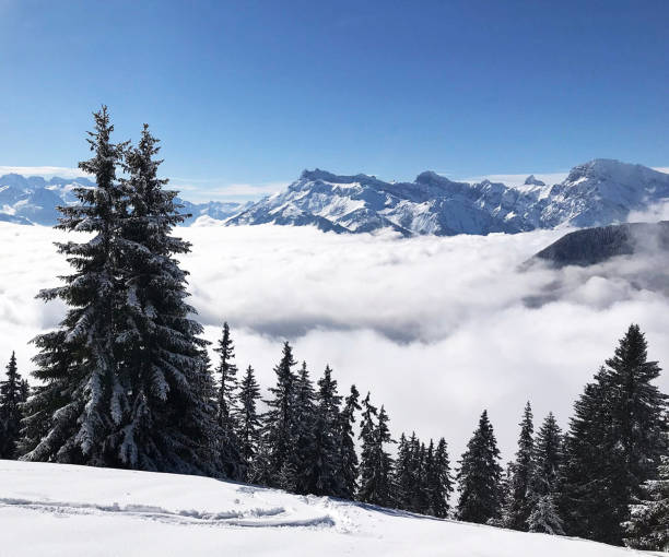 istock Leysin,Switzerland pictures 1372515737