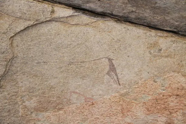 The rock paintings into the Philips-Cave (Ameib-Ranch)  are thousands of years old and very impressive.