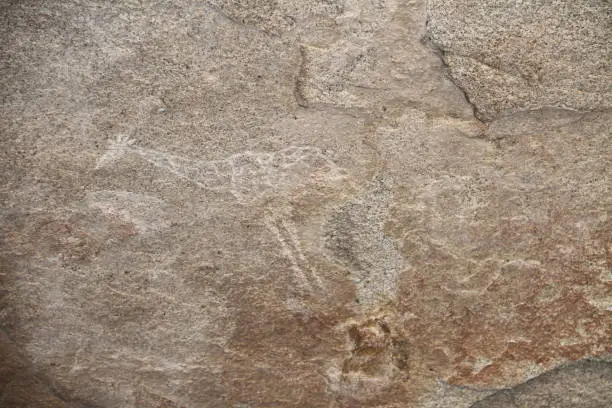 The rock paintings into the Philips-Cave (Ameib-Ranch)  are thousands of years old and very impressive.