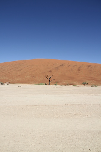 Dunes and their surroundings offer a variety of photo opportunities.\nHere the dried trees in combination with the dry pan and dune creates an image of silence, loneliness and constant struggle for for survival due to lack of water.