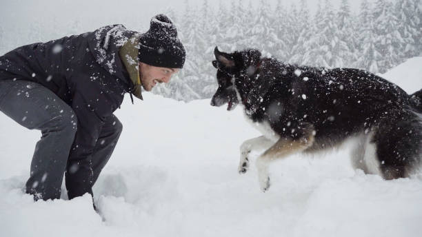 lächelnder junger mann, der draußen mit seinem hund in einem schneesturm spielt - snow dog walking running stock-fotos und bilder