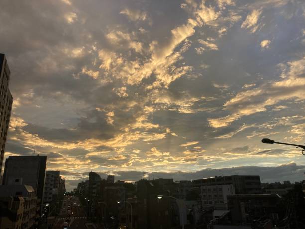 istock Dusk in Tokyo 1372522950