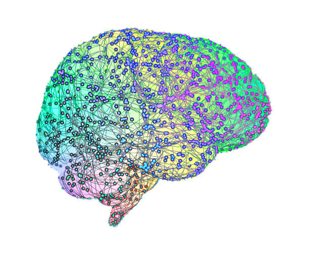 istock Microscopic view of neurons. Brain connections. Synapses. Communication and cerebral stimulus 1372525279