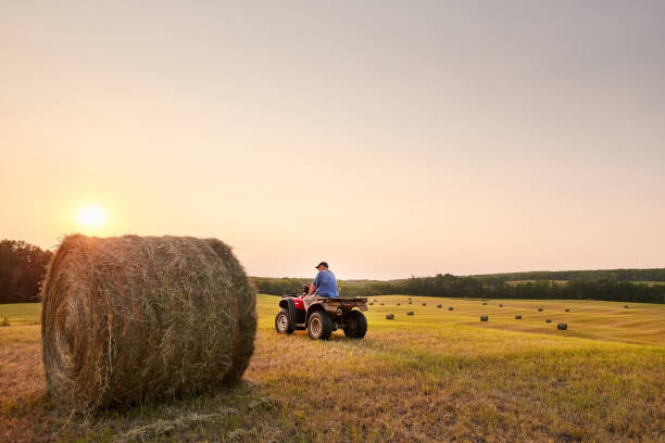 istock Hay bale on farm field with a man on his ATV 1372525449
