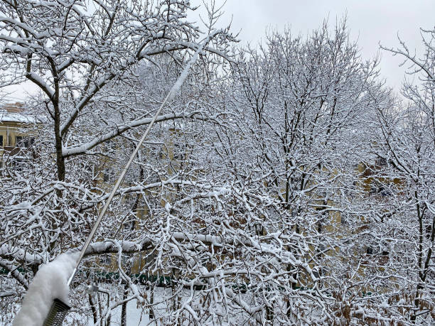 istock winter in city yard at cloudy day after snowfall 1372528347