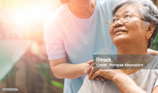 Caregiver Carer Hand Holding Elder Hand In Hospice Care Philanthropy Kindness To Disabled Concept Stock Photo - Download Image Now