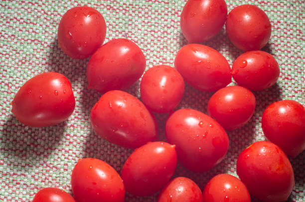 ripe cherry tomato in the table with familiar tablecloth,copy space.