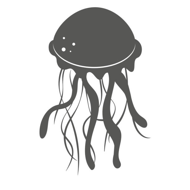 ilustrações, clipart, desenhos animados e ícones de silhueta preta de água-viva isolada em branco - medusa cnidário