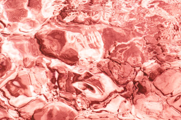 istock Underwater shallow waves rippling red water in a sea background 1372534514