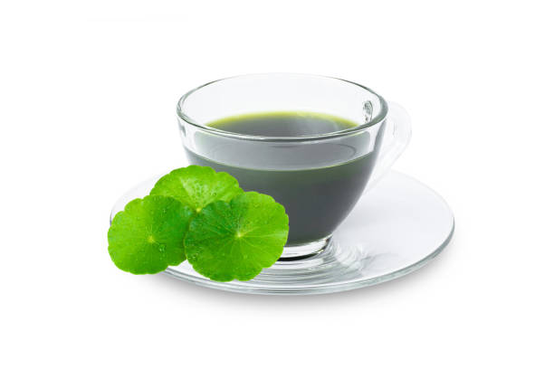 istock Asiatic pennywort, Centella asiatica ijuice tea 1372534854